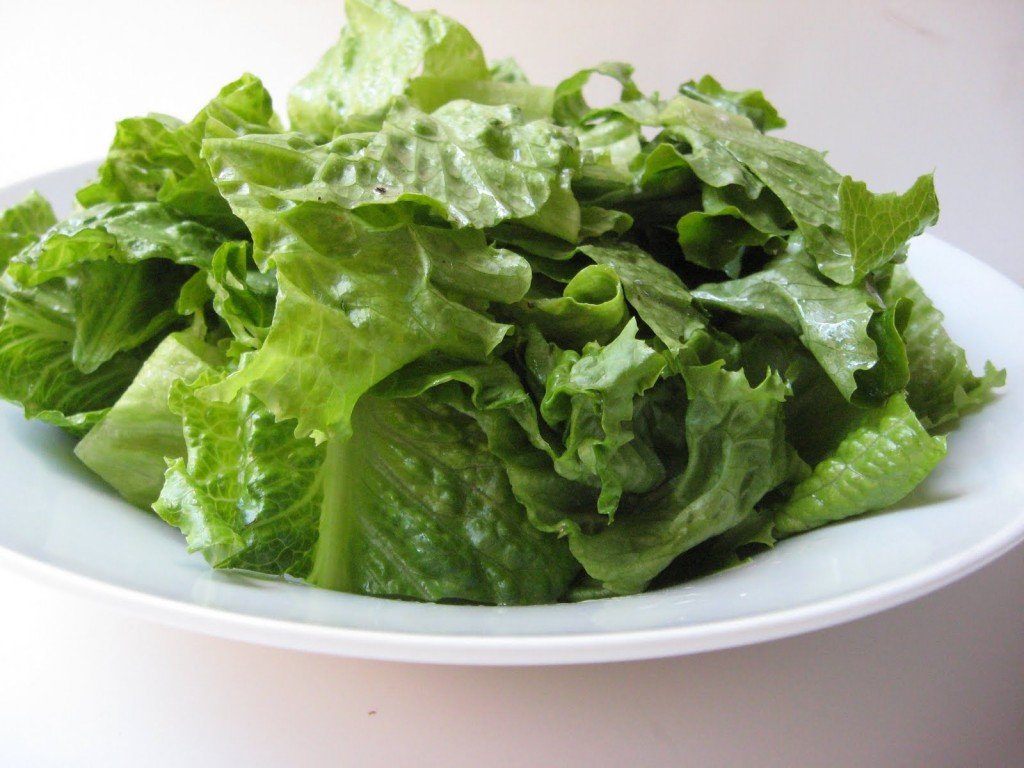 "500" A Very Low Calories Diet "500" A Very Low Calories Diet